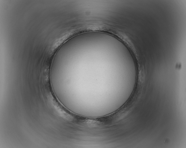 X0000110910393200907021440