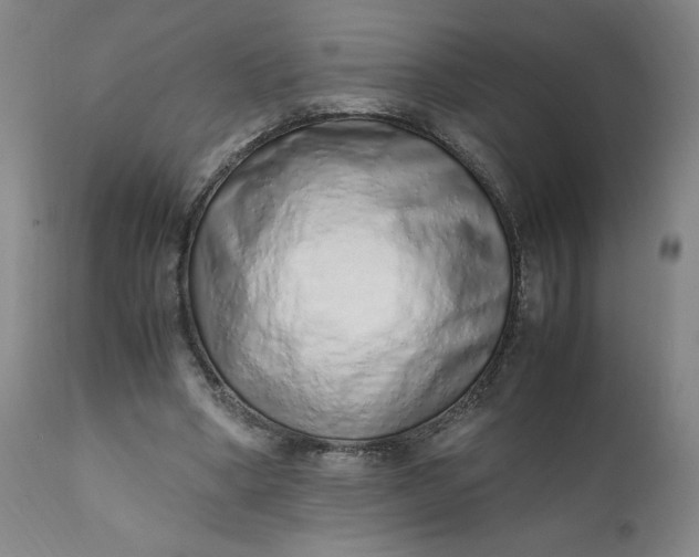 X0000110910394200907021440