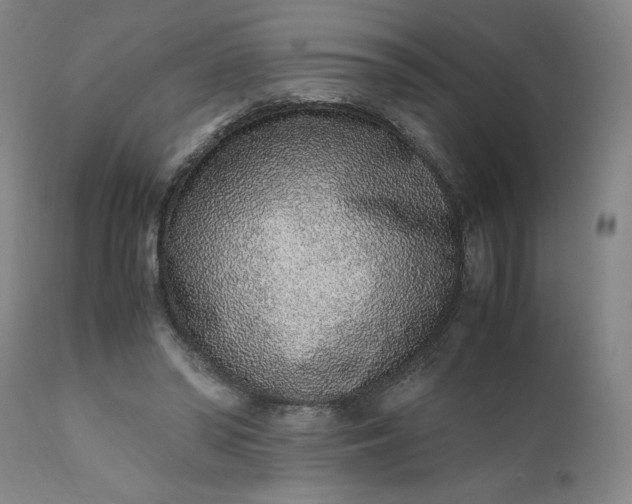 X0000110910398200907021440