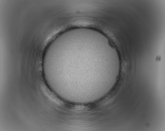 X0000110910399200907021440