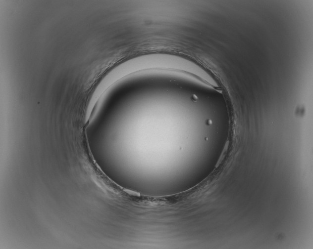 X0000110910401200907021440