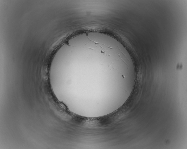 X0000110910403200907021440