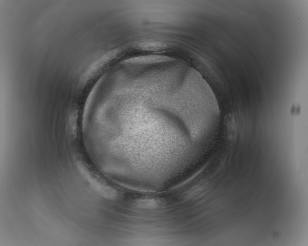 X0000110910404200907021440