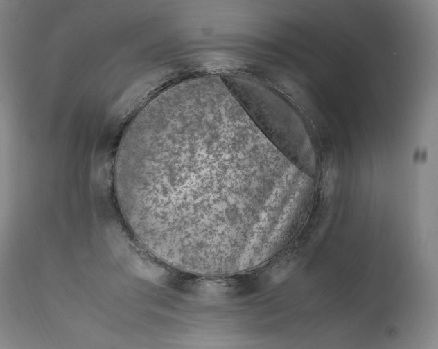 X0000110910405200907021440