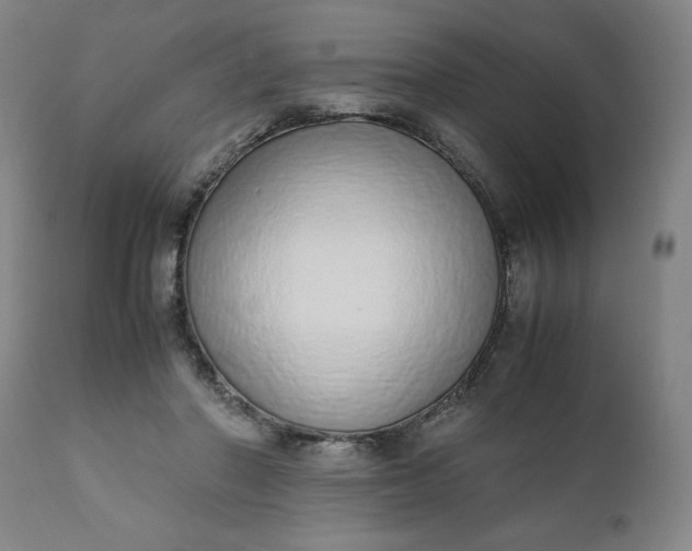 X0000110910406200907021440