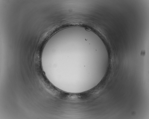 X0000110910407200907021440