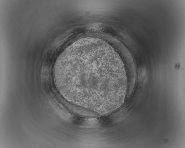 X0000110910409200907021440