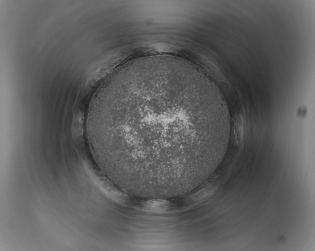 X0000110910410200907021440