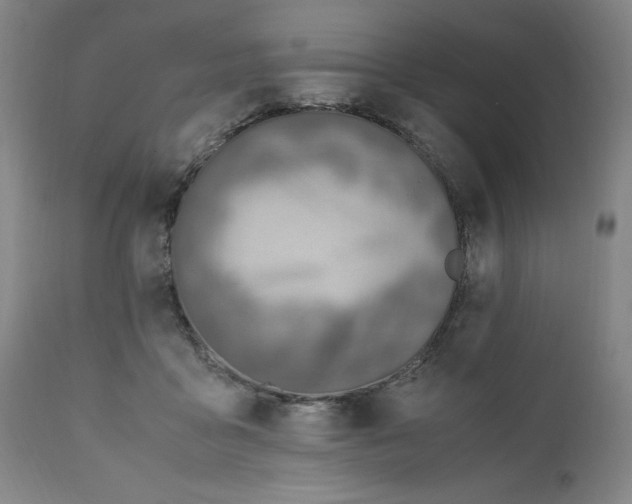 X0000110910411200907021440