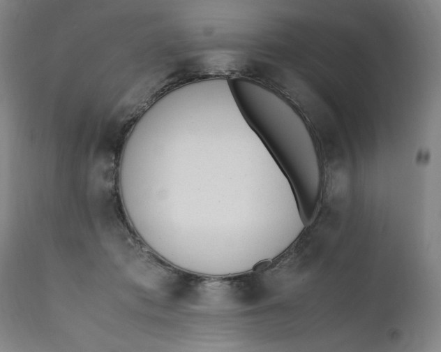 X0000110910413200907021440