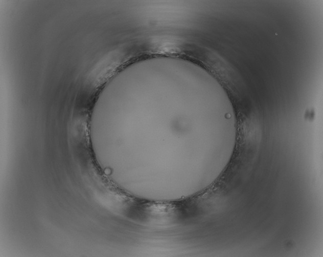 X0000110910415200907021440