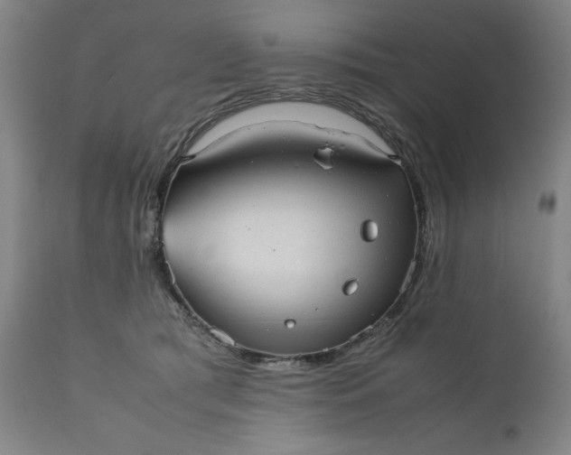 X0000110910417200907021440