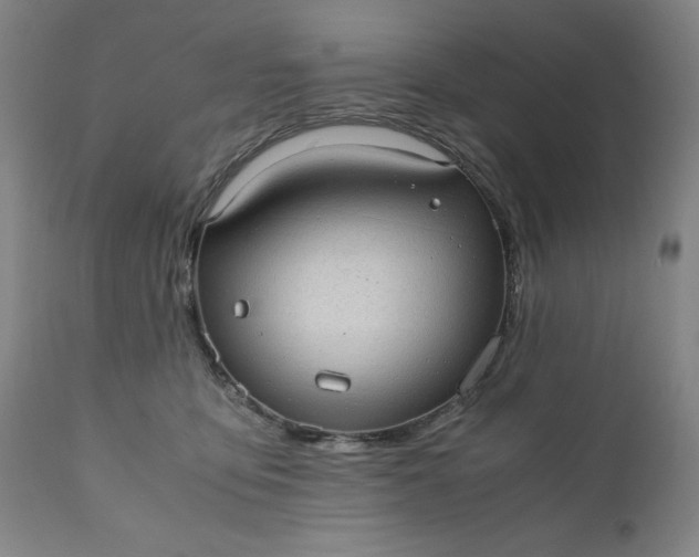 X0000110910419200907021439