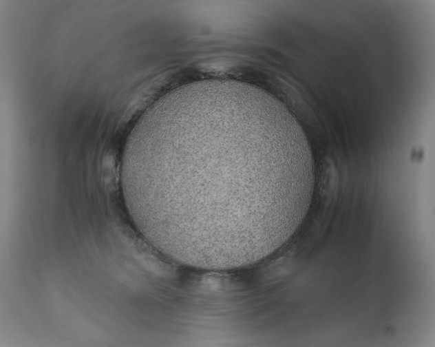 X0000110910420200907021439