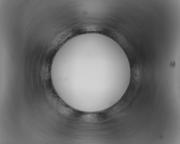 X0000110910422200907021439