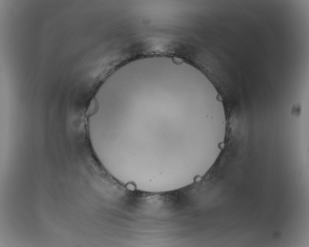 X0000110910423200907021439