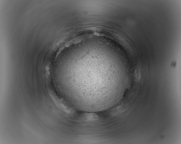 X0000110910424200907021439