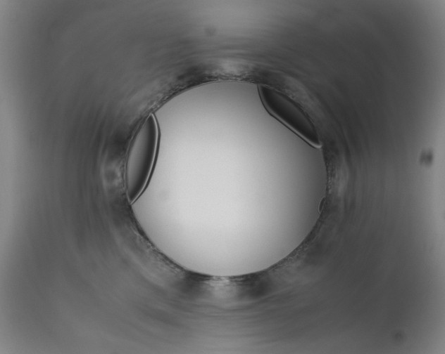 X0000110910425200907021439