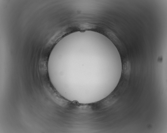 X0000110910426200907021439