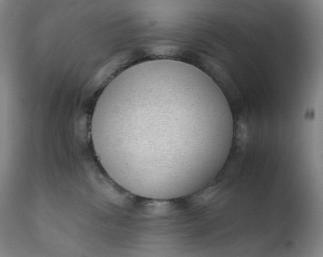 X0000110910428200907021439