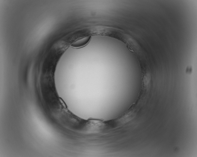 X0000110910429200907021439