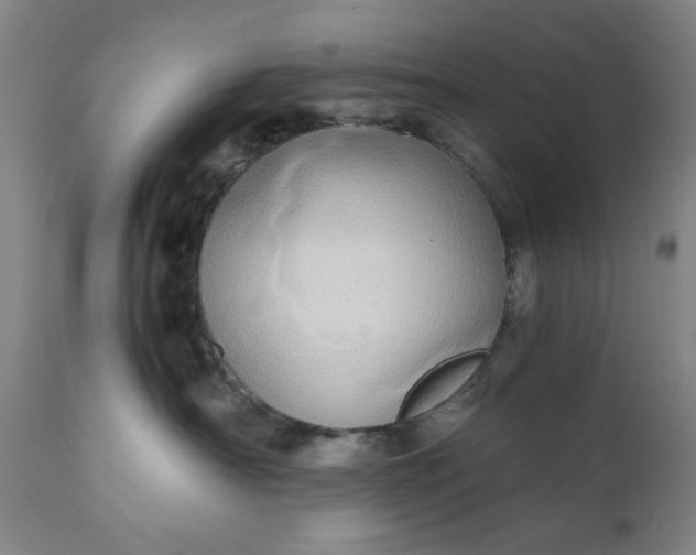 X0000110910430200907021439