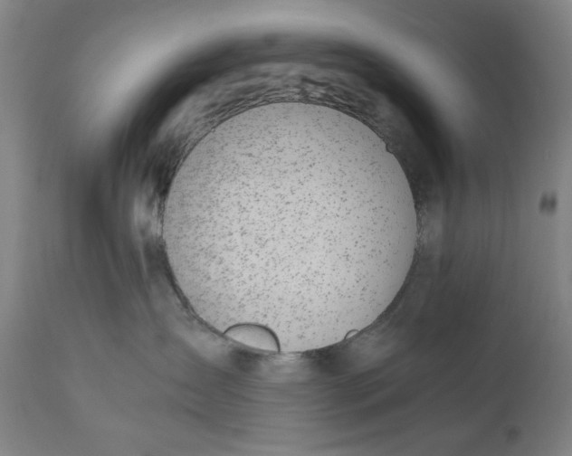 X0000110910431200907021439