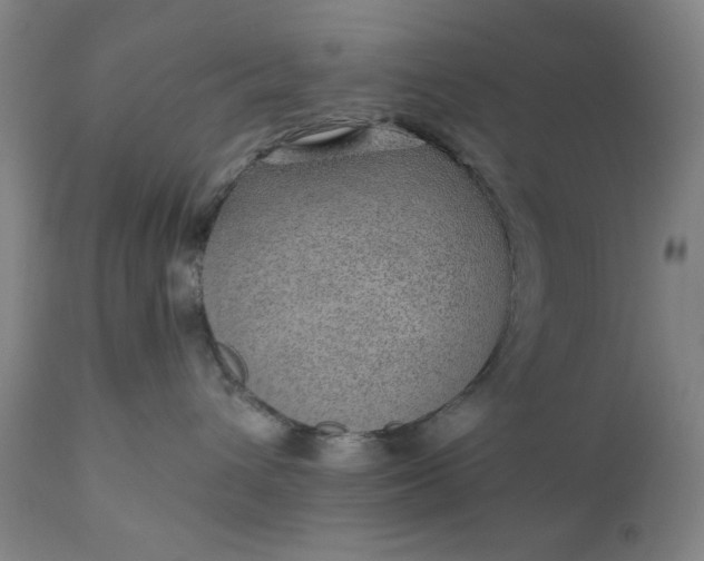 X0000110910432200907021439