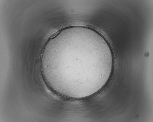 X0000110910433200907021439