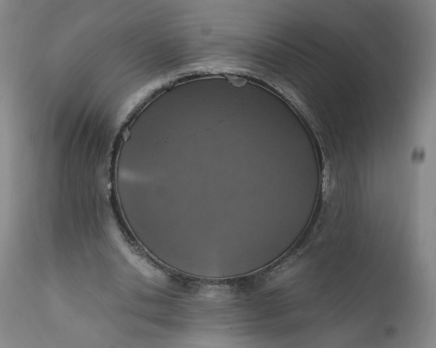 X0000110910438200907021439