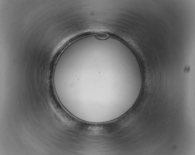 X0000110910440200907021439