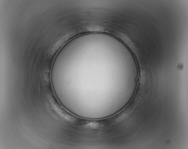 X0000110910441200907021439