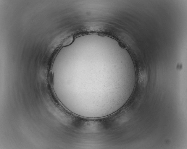 X0000110910444200907021439