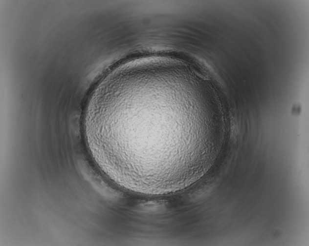 X0000110910447200907021439