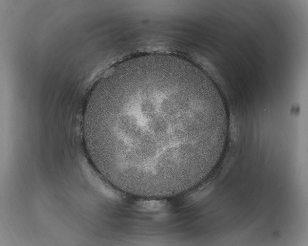 X0000110910449200907021439