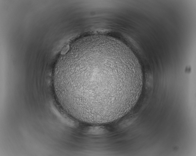 X0000110910451200907021439