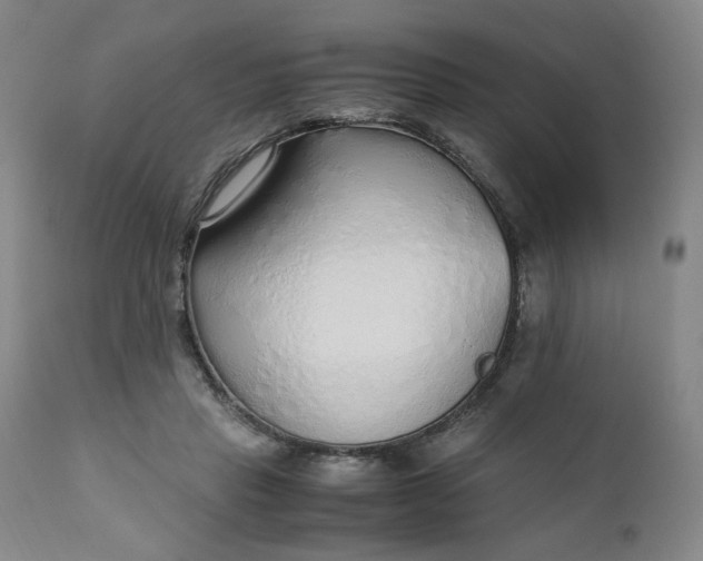 X0000110910453200907021439