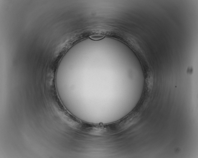 X0000110910458200907021439