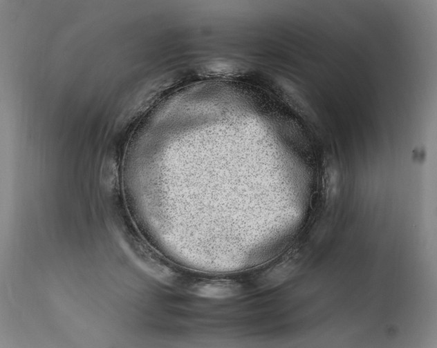 X0000110910459200907021439