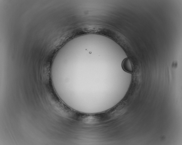 X0000110910460200907021439