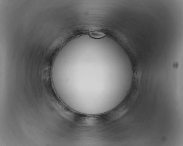 X0000110910462200907021439