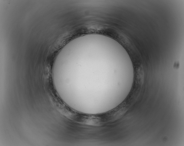 X0000110910463200907021439