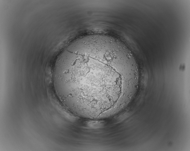 X0000110910465200907021439