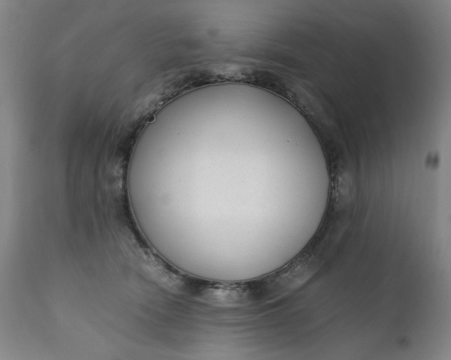 X0000110910466200907021439