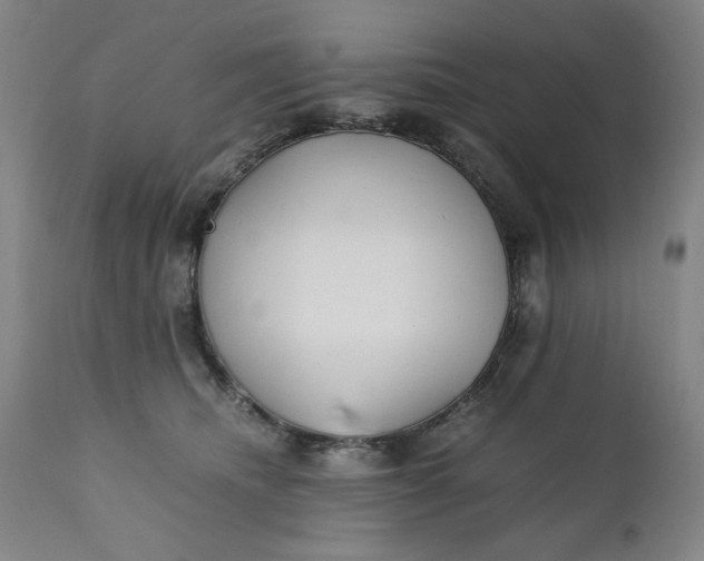 X0000110910468200907021439