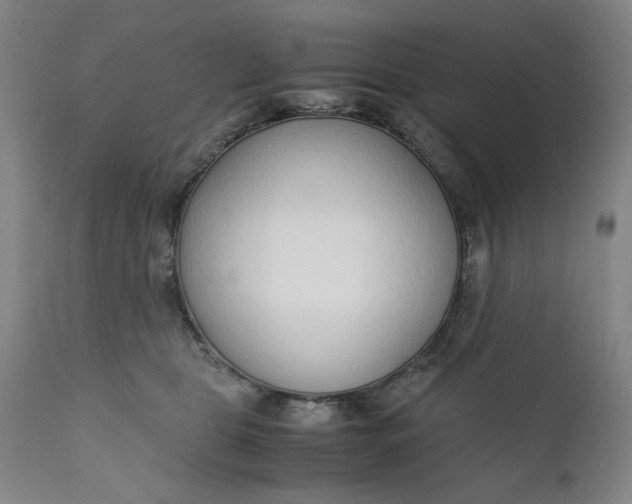 X0000110910469200907021439