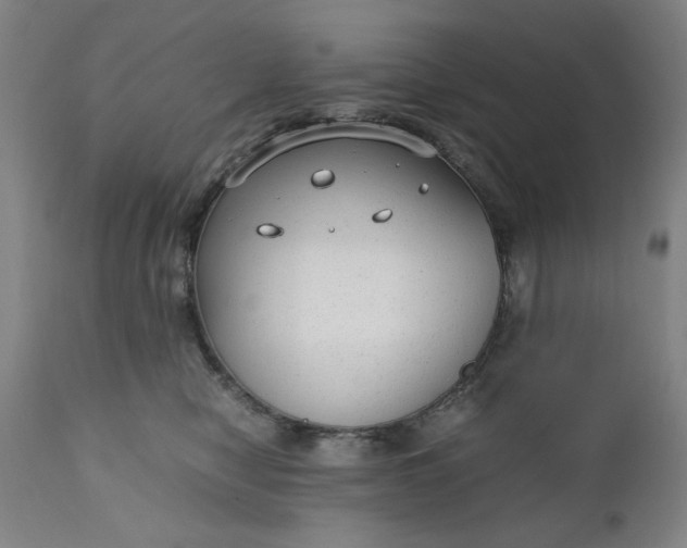 X0000110910470200907021439