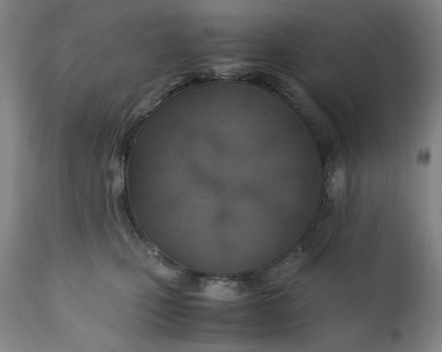 X0000110910471200907021439