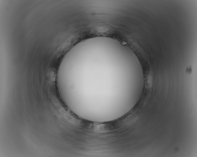 X0000110910472200907021439