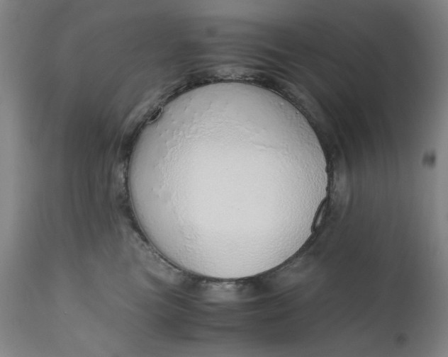 X0000110910473200907021439